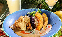 からだおもいカレー